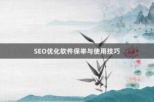 SEO优化软件保举与使用技巧