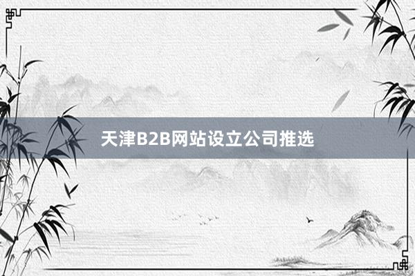 天津B2B网站设立公司推选