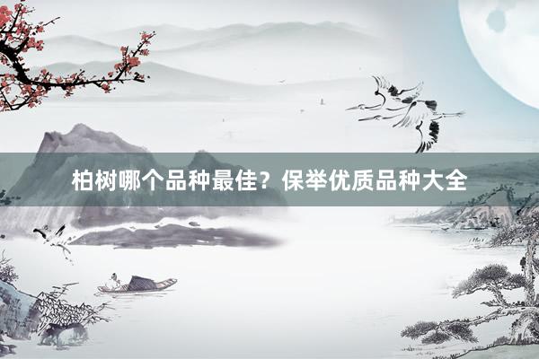 柏树哪个品种最佳？保举优质品种大全